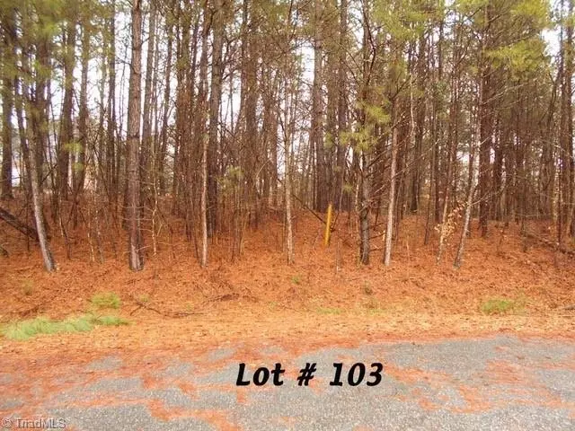 #103 Deer RUN, Eden, NC 27288