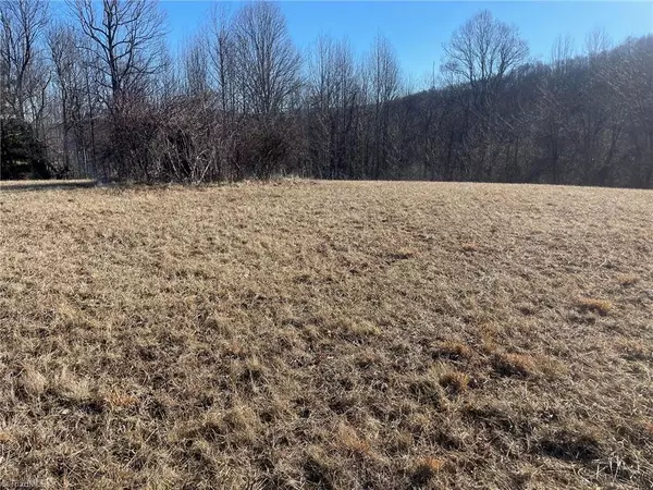 Sparta, NC 28675,0 Toms Knob RD #Lot 3