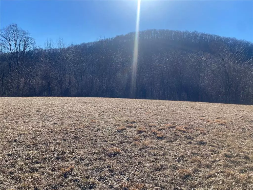 Sparta, NC 28675,0 Toms Knob RD #Lot 3