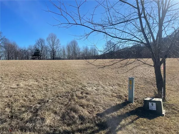 Sparta, NC 28675,0 Toms Knob RD #Lot 3