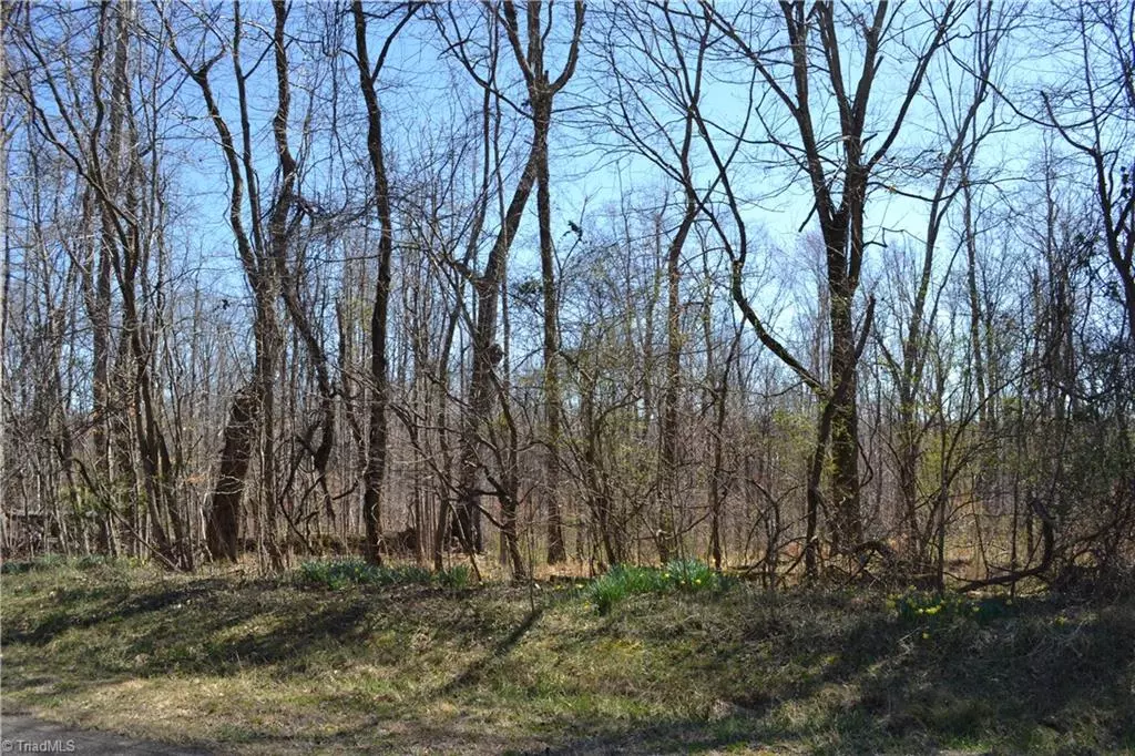 Stoneville, NC 27048,366 Frye RD