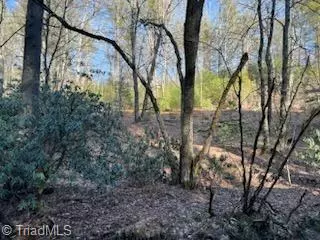 Jefferson, NC 28640,Lot 17 & 18 Dyeann TRL