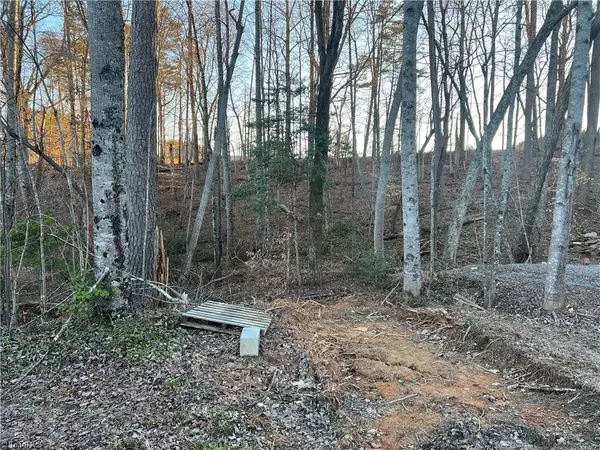 Pilot Mountain, NC 27041,Lot 21 Huntington CT