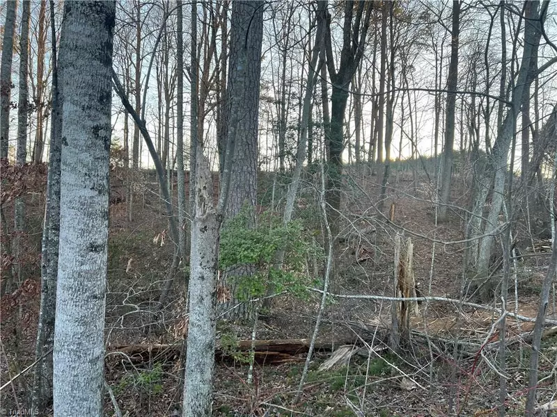 Lot 21 Huntington CT, Pilot Mountain, NC 27041