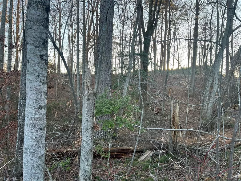 Pilot Mountain, NC 27041,Lot 21 Huntington CT