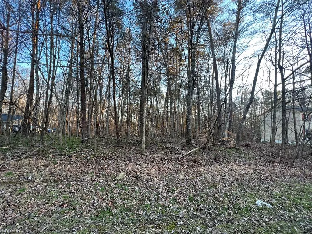 Pilot Mountain, NC 27041,Lot #55 Buena Vista DR