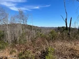 Millers Creek, NC 28651,TBD Old Campground RD