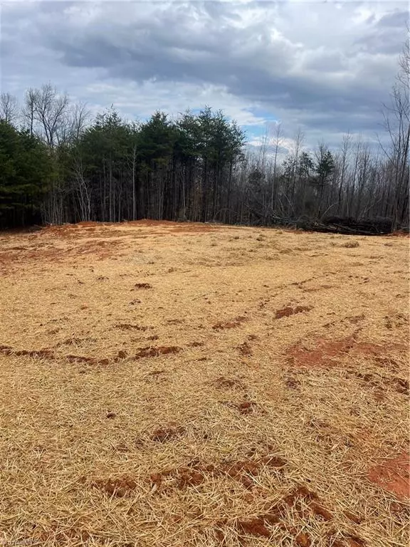 Stoneville, NC 27048,5013 NC Highway 770