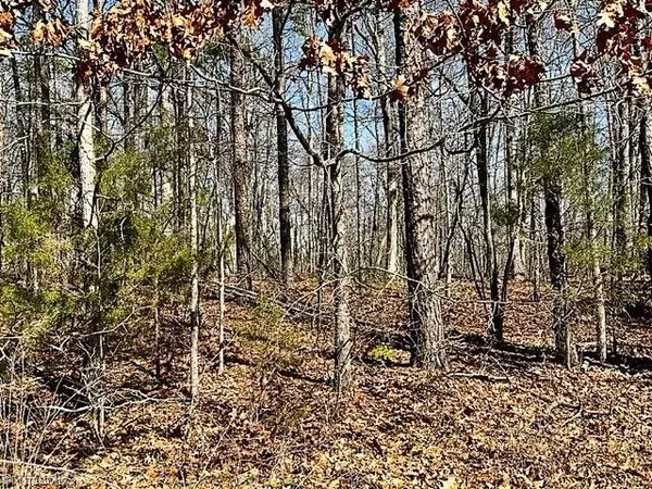 China Grove, NC 28023,0 RedLeaf LN