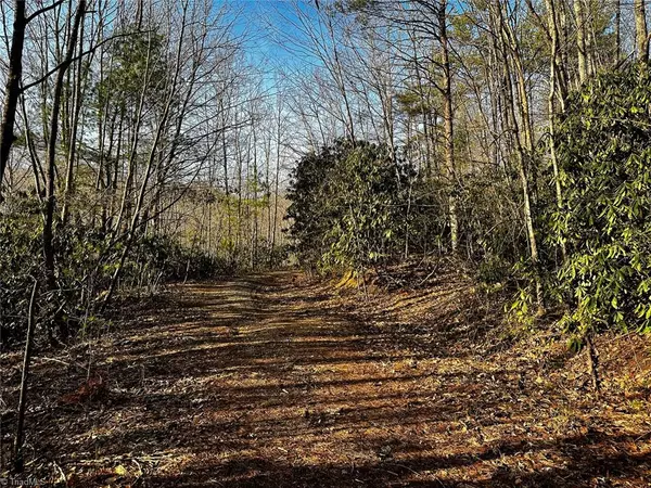 Lowgap, NC 27024,10 AC Wandering Walk RD