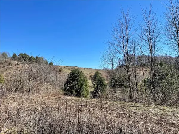 Grassy Creek, NC 28631,Lot 23 Saddlebrook LN