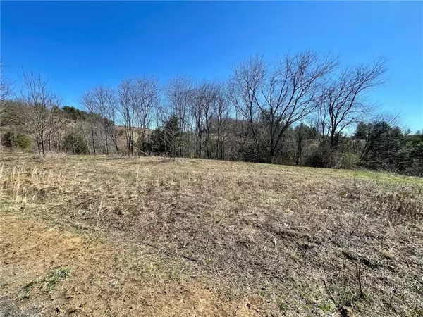 Grassy Creek, NC 28631,Lot 23 Saddlebrook LN