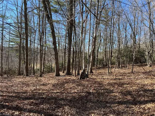 TBD (Lot 35) Fox Crest Overlook, Laurel Springs, NC 28644