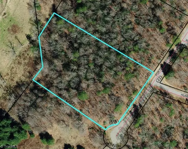 Laurel Springs, NC 28644,TBD (Lot 35) Fox Crest Overlook