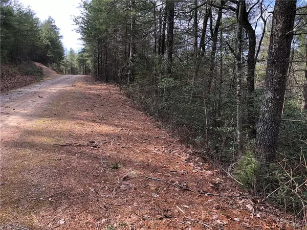 Purlear, NC 28665,Lot 63 Deer RUN