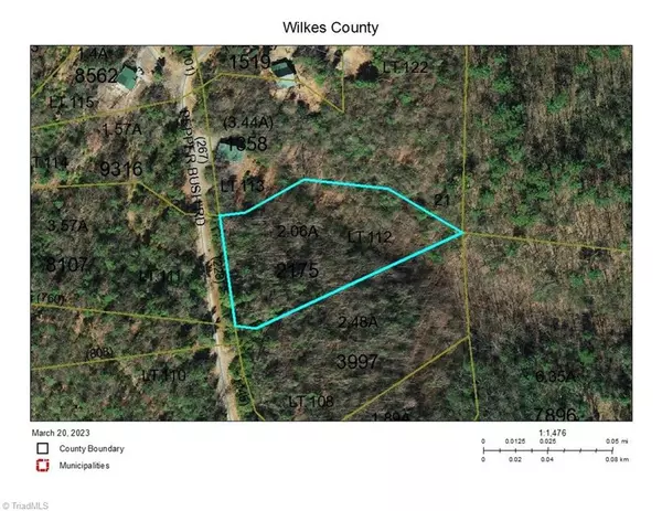 Lot 112 Pepper Bush RD, Purlear, NC 28665