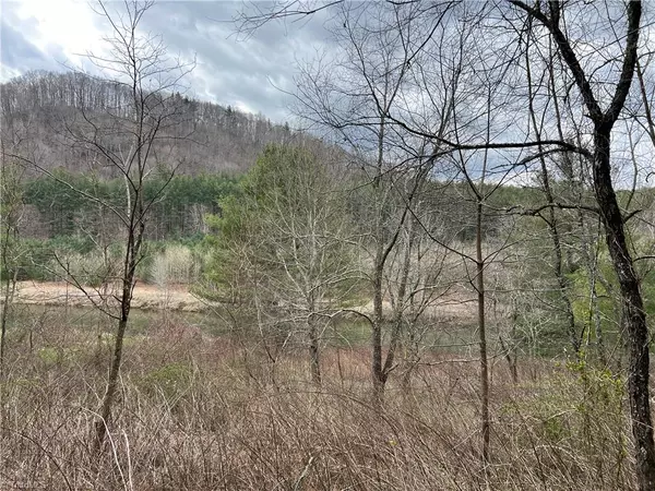 Laurel Springs, NC 28644,TBD (Lot 40) Huntsman CT