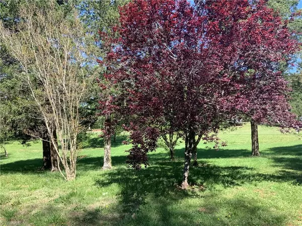 Pleasant Garden, NC 27313,1844 Brittany TRL