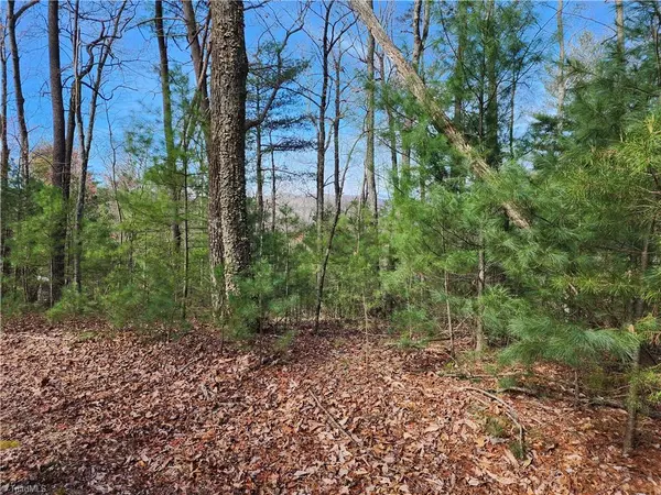 Purlear, NC 28665,TBD Deer RUN