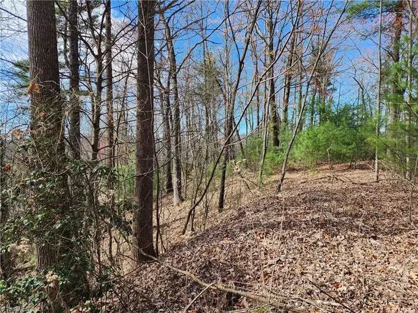 Purlear, NC 28665,TBD Deer RUN