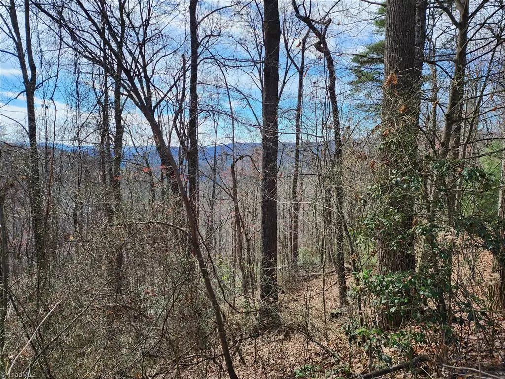 Purlear, NC 28665,TBD Deer RUN