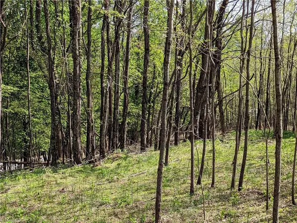 Mcgrady, NC 28649,TBD Meadow Crossing RD #Lot 86