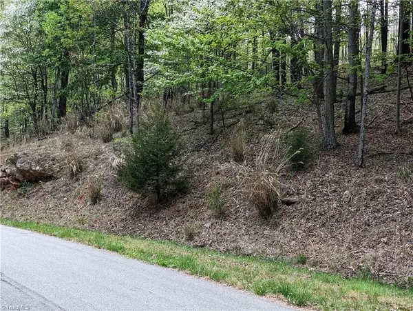 Mcgrady, NC 28649,TBD Meadow Crossing RD #Lot 86