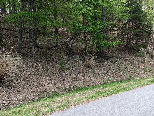 Mcgrady, NC 28649,TBD Meadow Crossing RD #Lot 86