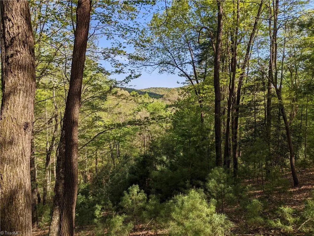 Mcgrady, NC 28649,TBD Sutters Ridge RD #Lot 94