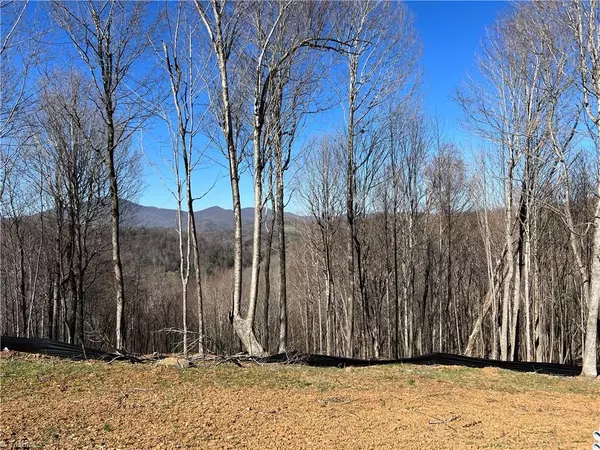 Boone, NC 28607,TBD (Lot 33) Poplar Forest DR