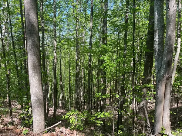 Millers Creek, NC 28651,TBA Tumbling Shoals RD