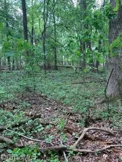 Pleasant Garden, NC 27313,6565 Hunt RD