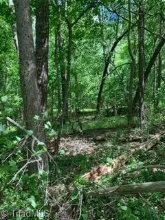 Pleasant Garden, NC 27313,6565 Hunt RD