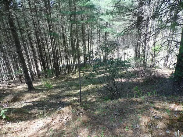 Piney Creek, NC 28663,TBD Rachel WAY