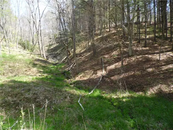 Piney Creek, NC 28663,TBD Rachel WAY