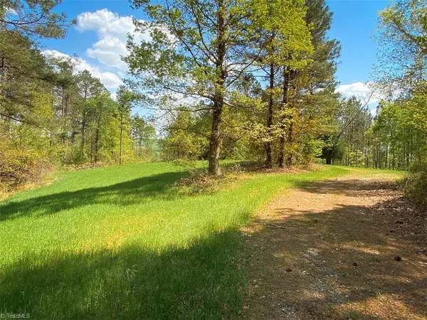 Lexington, NC 27292,232.5 AC Stoney Point DR