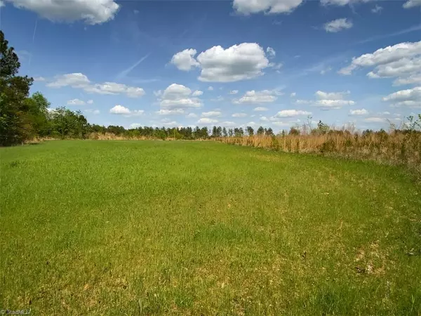 Lexington, NC 27292,232.5 AC Stoney Point DR