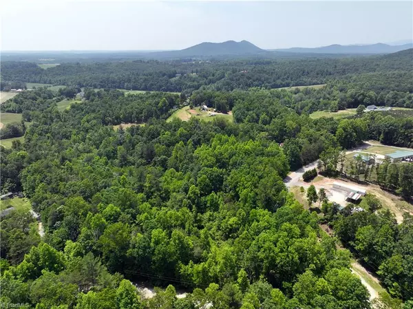 Lowgap, NC 27024,TBD Flagstone WAY