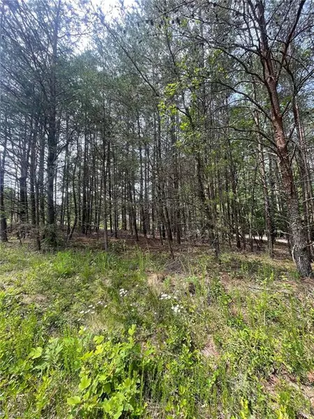 TBD Middle Fork RD, Hays, NC 28635