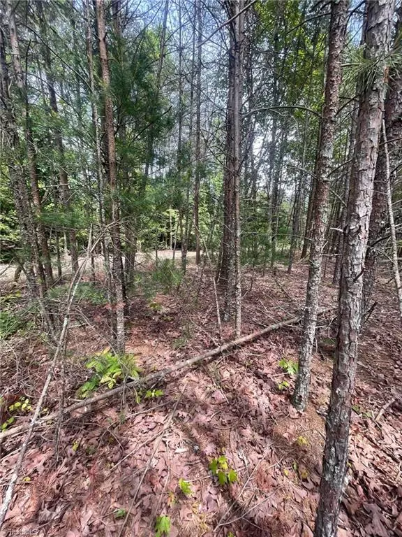 Hays, NC 28635,TBD Middle Fork RD