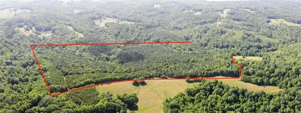 Sandy Ridge, NC 27046,xx 61.75 acres Delta Church RD