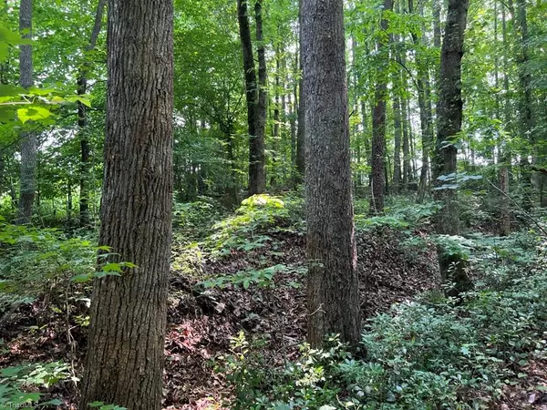 King, NC 27021,5.25 Ac Capella Ridge RD #5.25 Ac