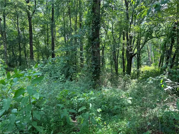 Tobaccoville, NC 27050,0 Village Trace DR