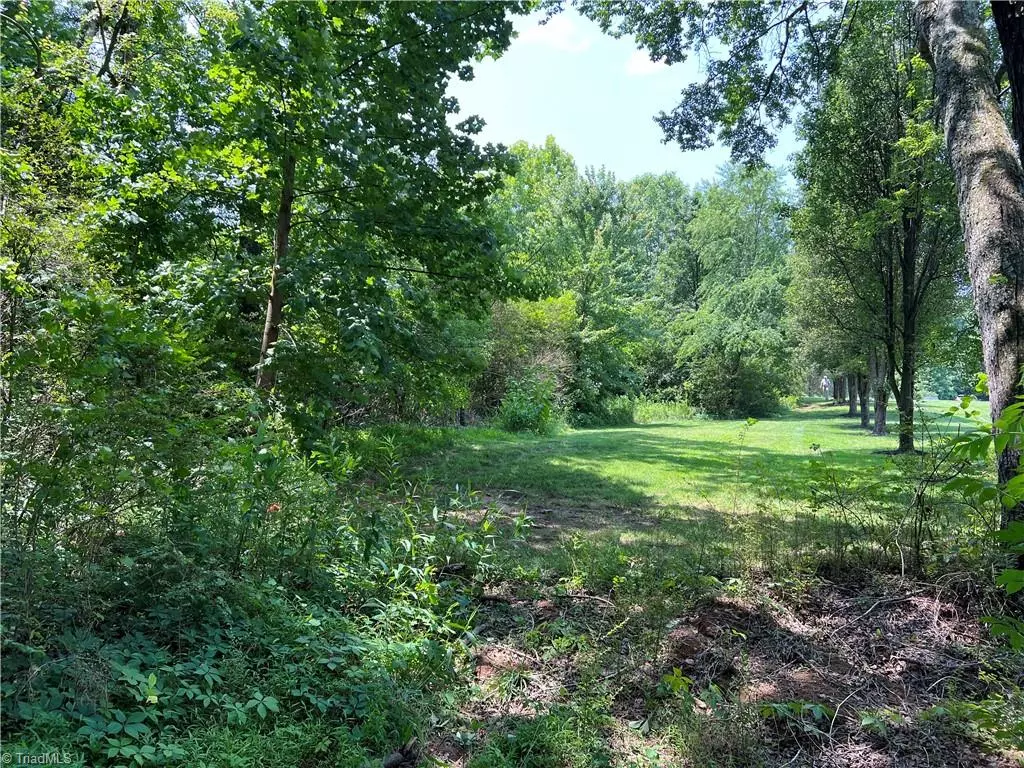 Tobaccoville, NC 27050,0 Village Trace DR