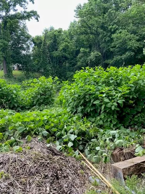 Millers Creek, NC 28651,202 Grove WAY