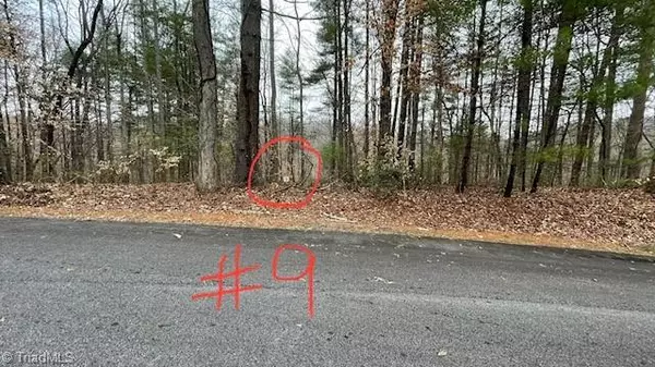 Lot 9 Woods Haven LN, Stuart, VA 24171