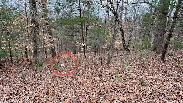 Lot 16 Woods Haven LN, Stuart, VA 24171