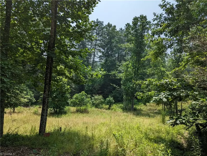 TBD Wildwood Shady LN, Hays, NC 28659