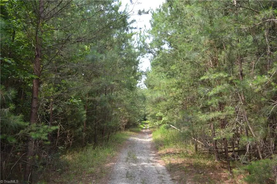 25 Acres Chow LN, Madison, NC 27025