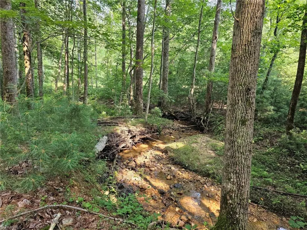 Lowgap, NC 27024,LOT 82 Mcintosh DR